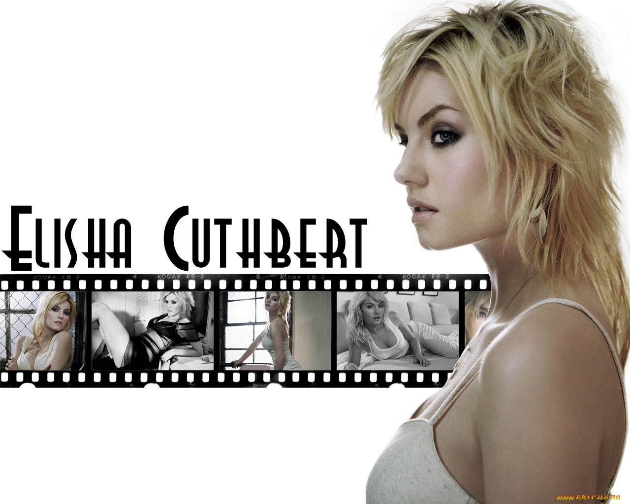 Elisha Cuthbert, 